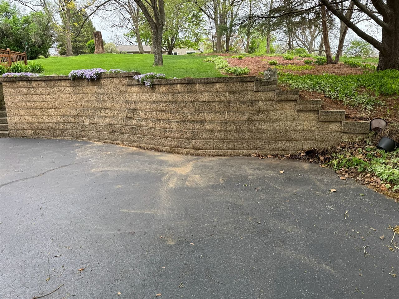 Junk removal in Rockford IL: driveway brush and debris removal after