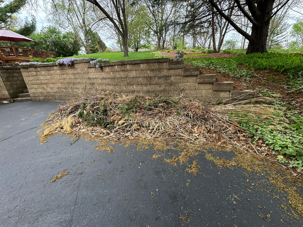 Junk removal in Rockford IL: driveway brush and debris removal before